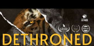 DETHRONED: The Fall of the Big Cats | Documentary