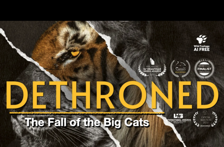 DETHRONED: The Fall of the Big Cats | Documentary