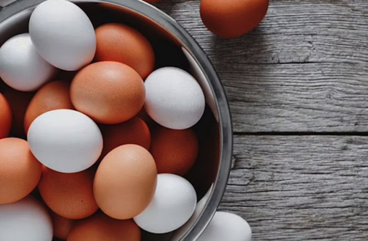 All About Eggs: Healthy vs. Unhealthy | Everything You Need To Know